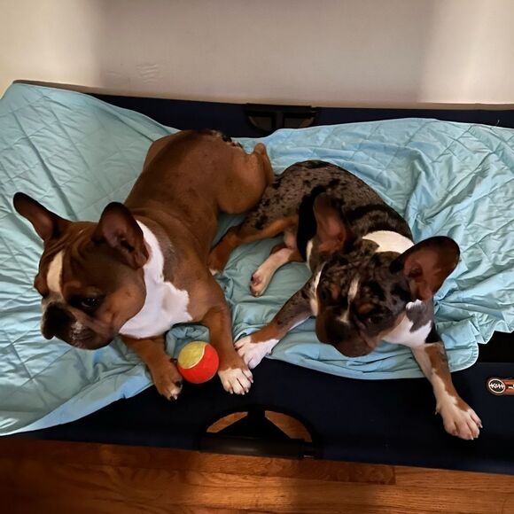 1 LEFT! Hello Kitty & Friends Plant Based Lip Balms With Tin - Picture 6 of 6